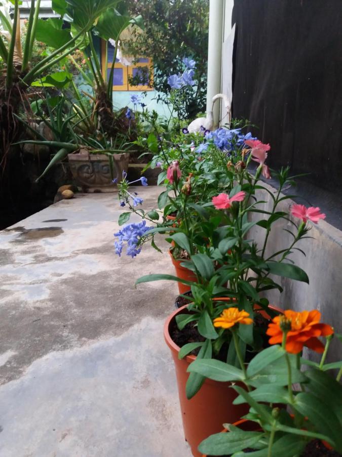 Mazz Homestay Negombo Ngoại thất bức ảnh