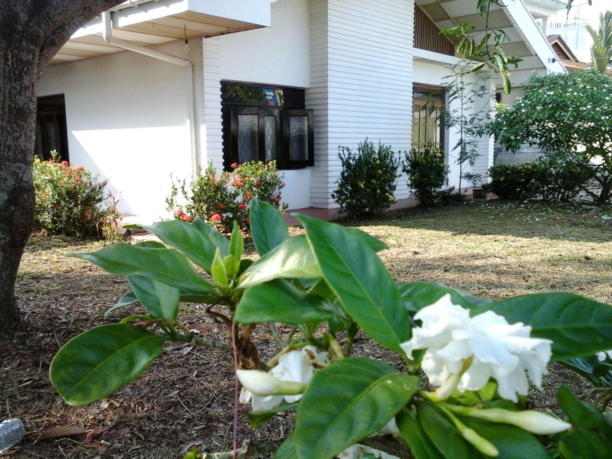 Mazz Homestay Negombo Ngoại thất bức ảnh