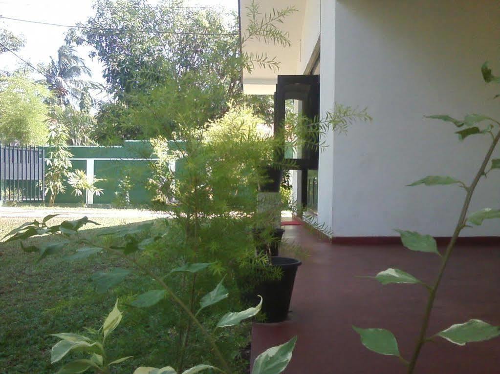 Mazz Homestay Negombo Ngoại thất bức ảnh