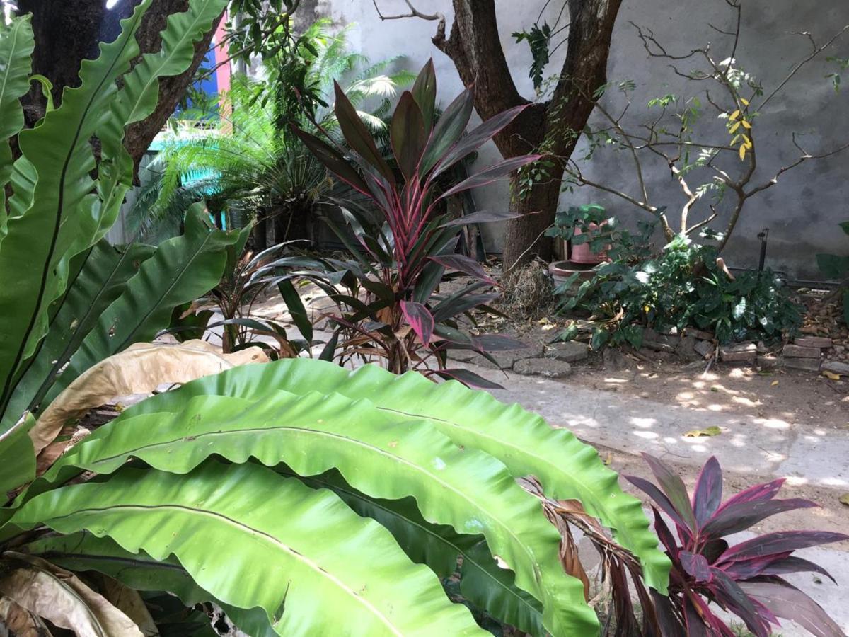 Mazz Homestay Negombo Ngoại thất bức ảnh