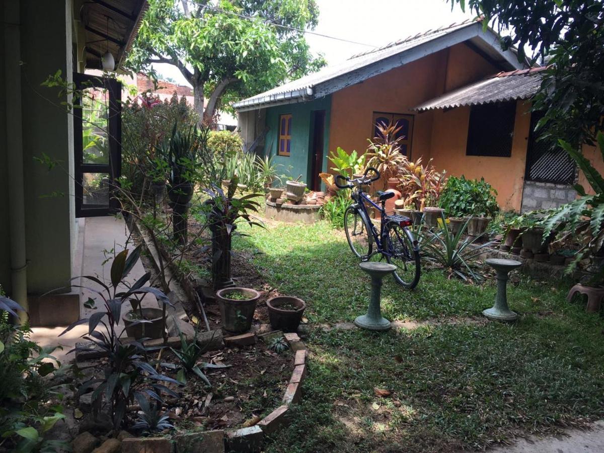 Mazz Homestay Negombo Ngoại thất bức ảnh